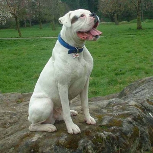 Charlie On His Favorite Rock