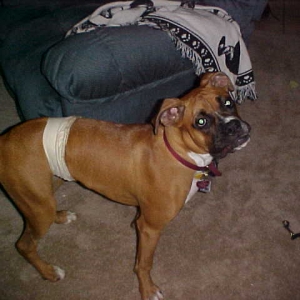Why Momma?