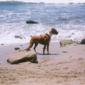 Carley the Beach Bum