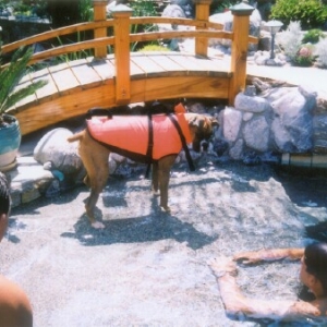 Jump in, I'll save you!!!