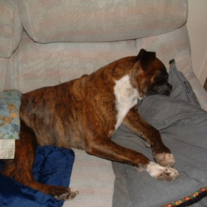 Its a rough life