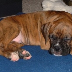 Shiva Sleeping