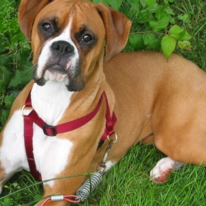Ruby1