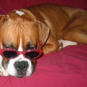 Sun glasses