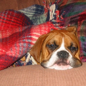Keeping cozy!!