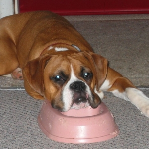 Feed me PLEASE!