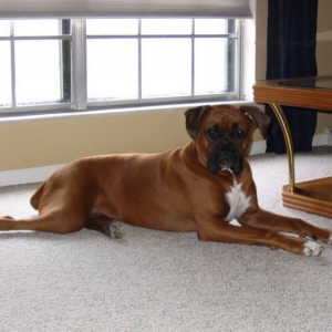 Showing a little leg.