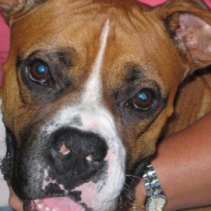 what a face