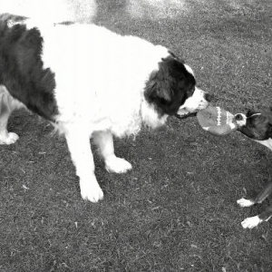 Kira & Big brother Crosby