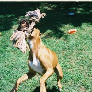 Fast Action