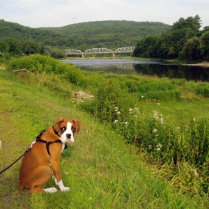 Owen - Upstate NY