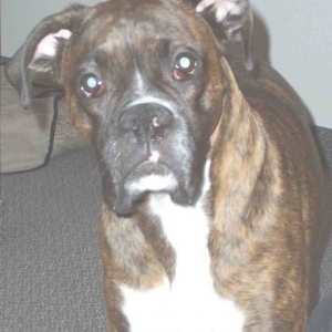 Tyson