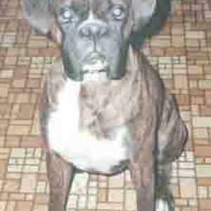 Barry