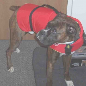 Benchmark for Marine Safety