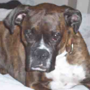 Tyson