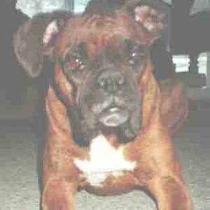 Roxy
