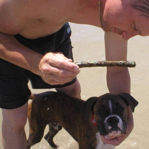 Beach fun