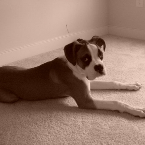 I'm to good lookin for my daddy's camera
