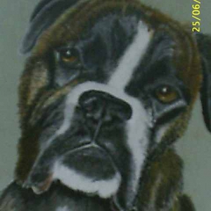 Buster