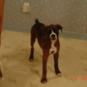 Layla @ 15 weeks