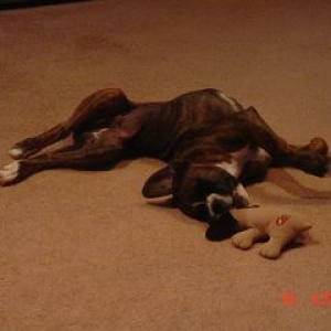 silly girly