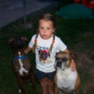 Boxer Crazy!!