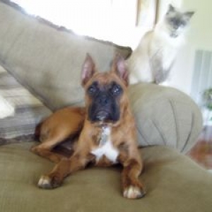 Jakin and Neo
