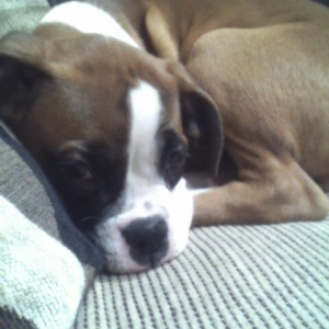 sleep time