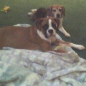 Madison and her friend