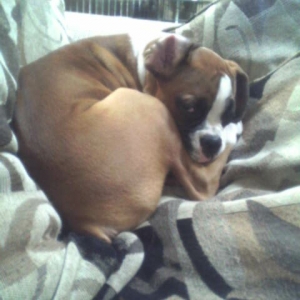 nap time!