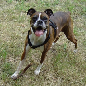 runnunig at the park