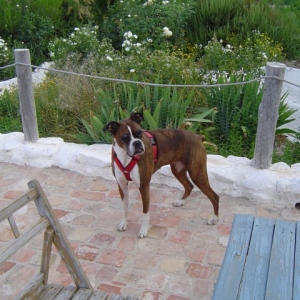 At the patio