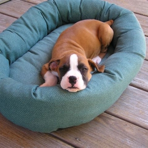 Lazy Sadie