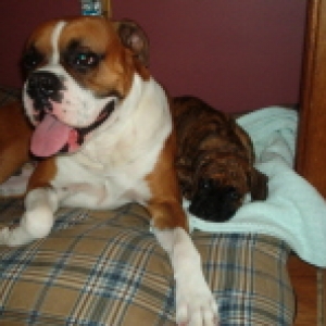 Rocco and Jade