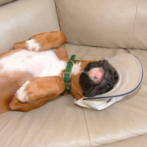 passed out