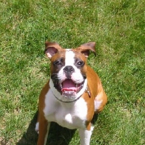 Quick take the picture I want to go play