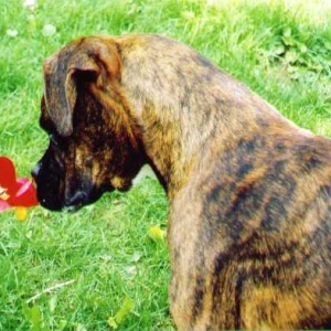 Take time to smell the flowers