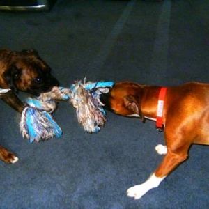 MY toy !