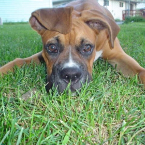 Wanna Play?