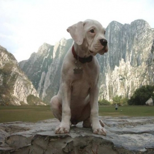 Ali at La Huasteca
