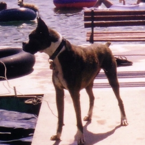Jack and the Lake