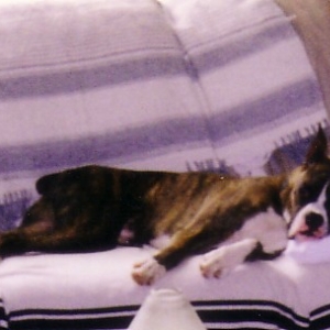 Nap time