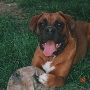 He is happy with his ball