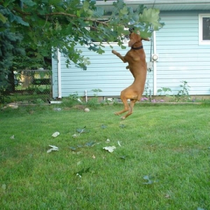 High Jump!