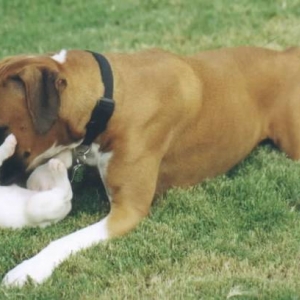 I'm enjoying my new big brother