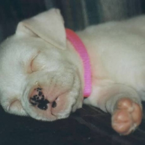 Long first day at new home!