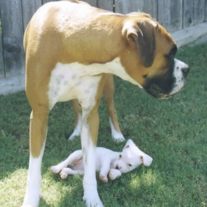 They grow so fast