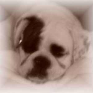 sleep