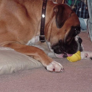 Bono with Ball2
