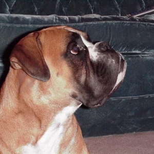 Bono Head Shot3